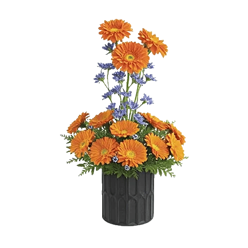 Vibrant Orange Delight