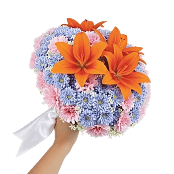 Blushing Rose Symphony