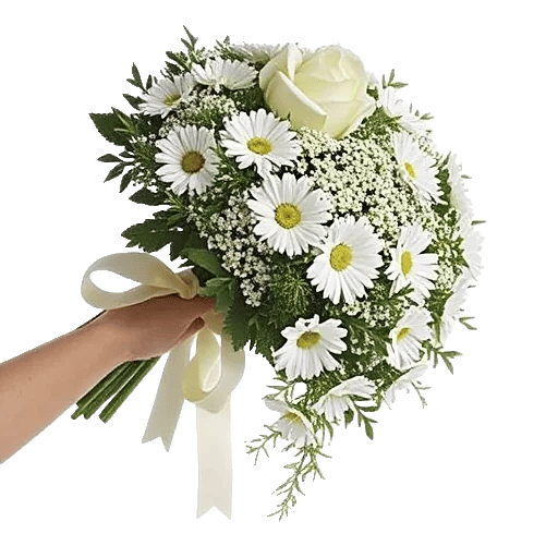 Delicate Petal Cascade