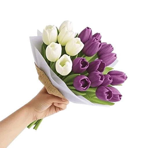 Velvet Tulip Display