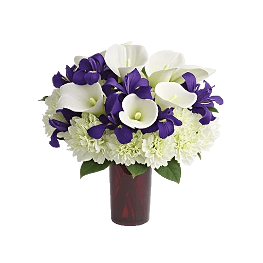 Elegant Calla Lilies