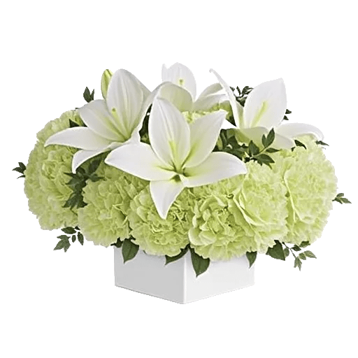 Graceful Lily Display