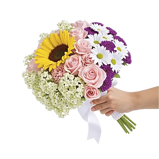 Blossom Harmony Display