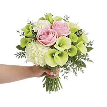 Delicate Petal Cascade