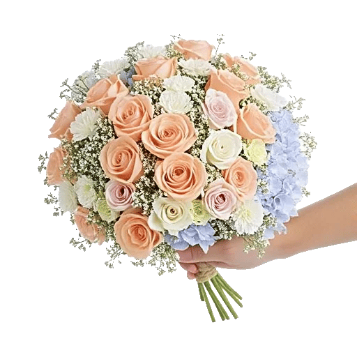 Pastel Pink Roses