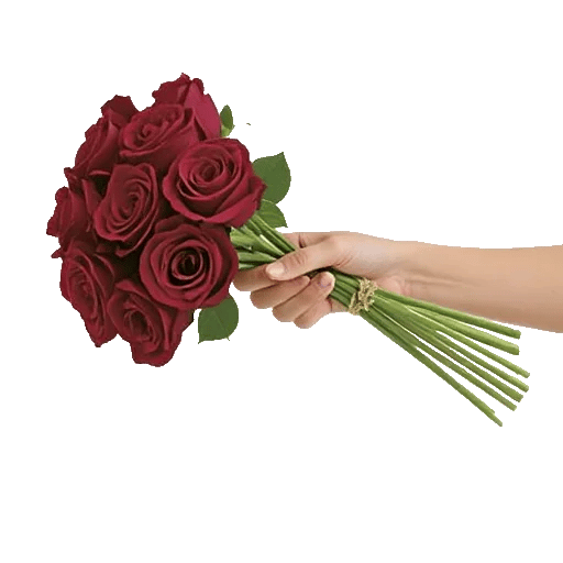Crimson Rose Elegance