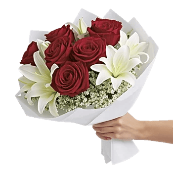 Crimson Rose Elegance