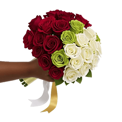 Crimson Rose Elegance