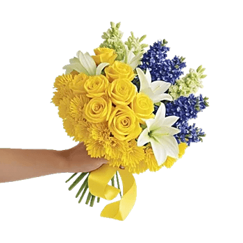 Blossom Harmony Display