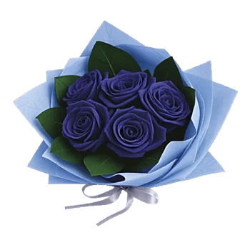 Elegant Blue Roses