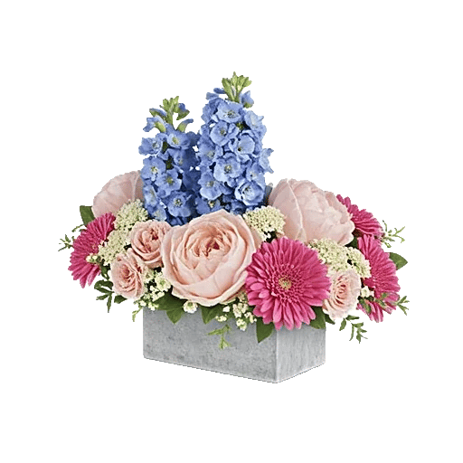 Blossom Petal Serenity