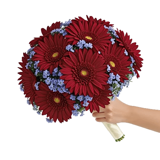 Ruby Petal Cascade