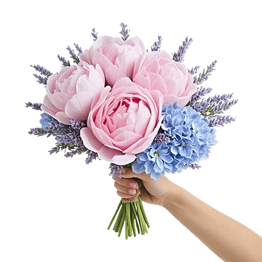 Peony Petal Harmony