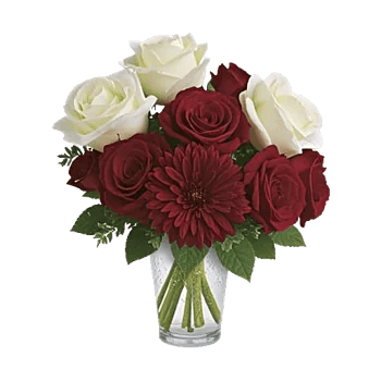 Crimson Blossom Harmony