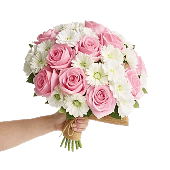 Pastel Pink Roses