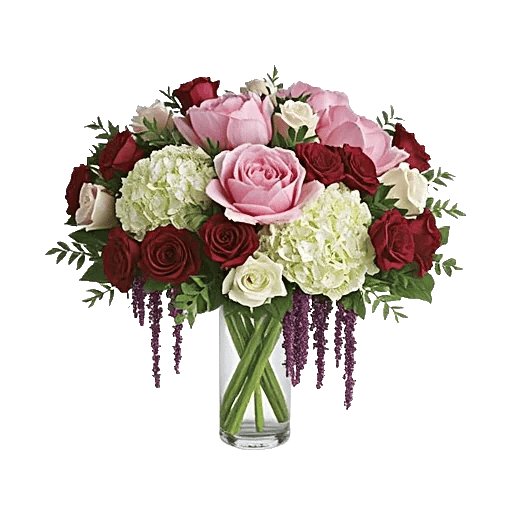 Petal Radiance Bliss