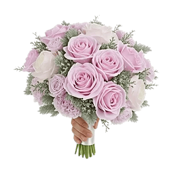 Pastel Pink Roses