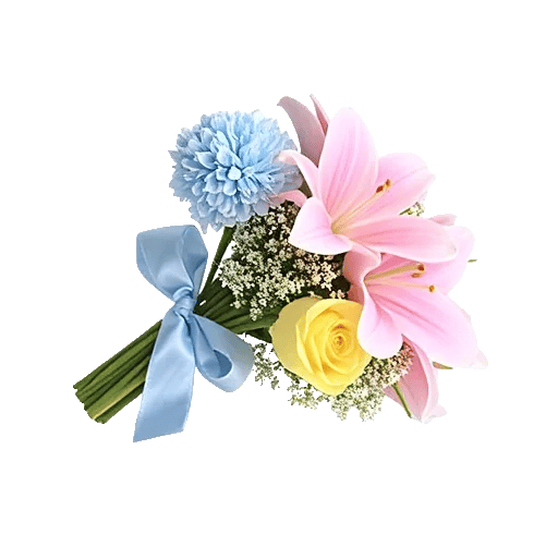 Serene Petal Harmony