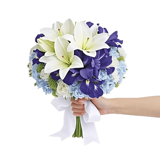 Ivory Blossom Radiance