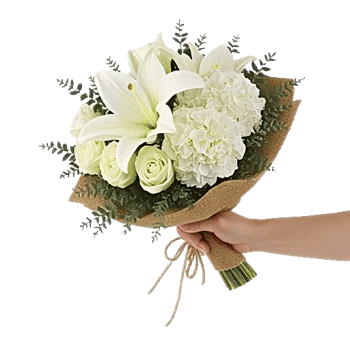 Ivory Garden Grace