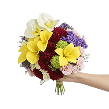 Modern White Orchids