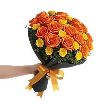 Radiant Rose Symphony