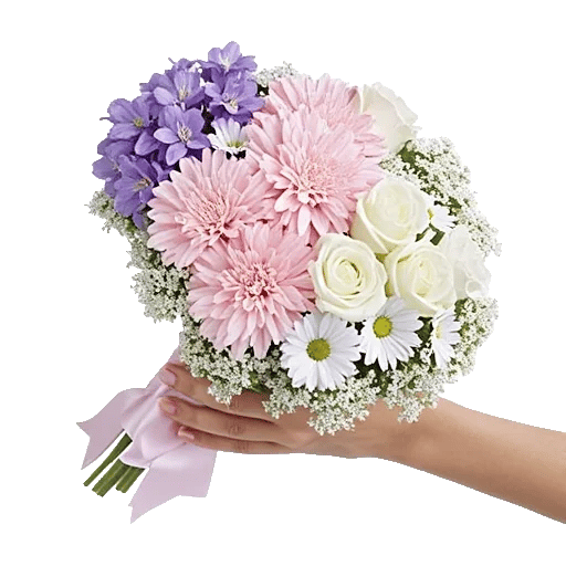 Pastel Pink Roses