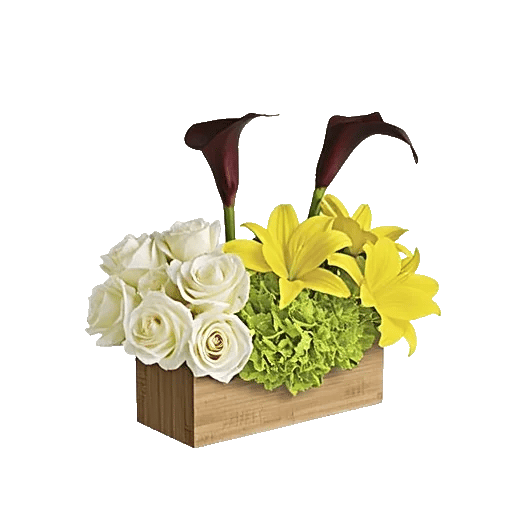 Graceful Lily Display