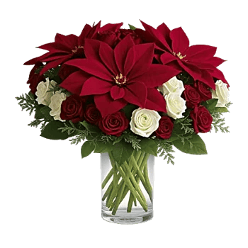 Petal Radiance Bliss