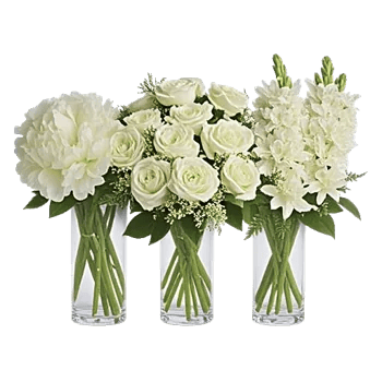 Ivory Blossom Radiance