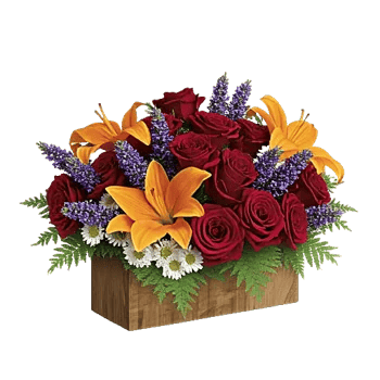 Radiant Rose Symphony