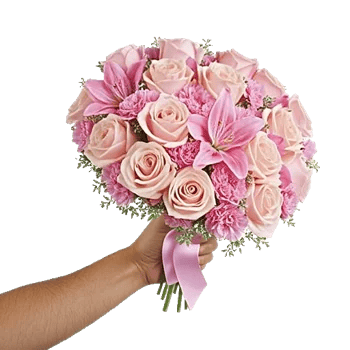 Pastel Pink Roses