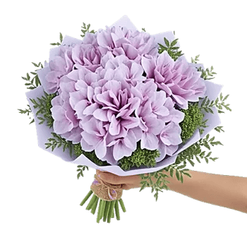 Serene Petal Harmony
