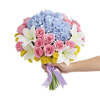 Serene Petal Harmony