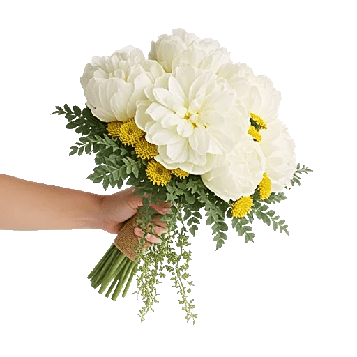 Ivory Blossom Radiance