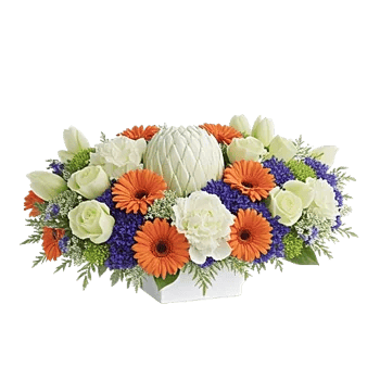 Graceful Lily Display