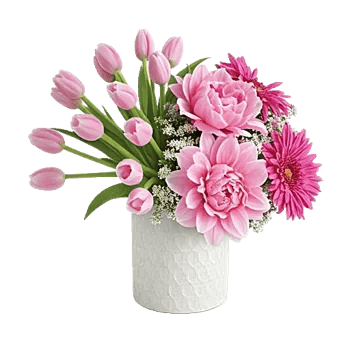 Velvet Tulip Display