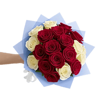 Crimson Rose Elegance