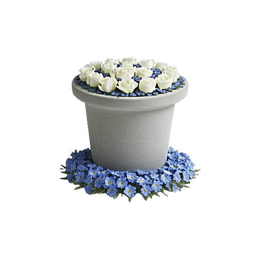 Elegant Blue Roses