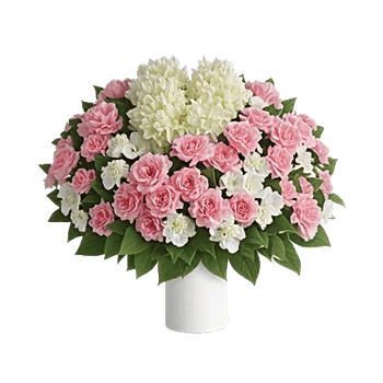 Blossom Grace Spread