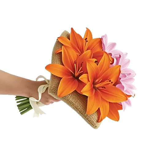 Blossom Glow Symphony