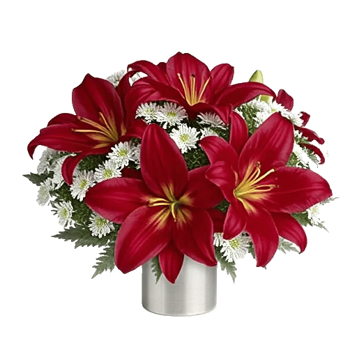 Crimson Lily Glow