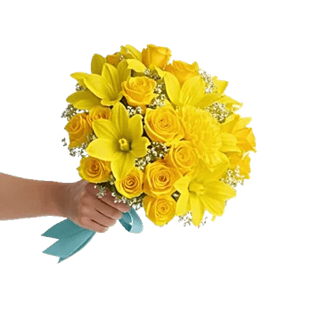 Blossom Harmony Display