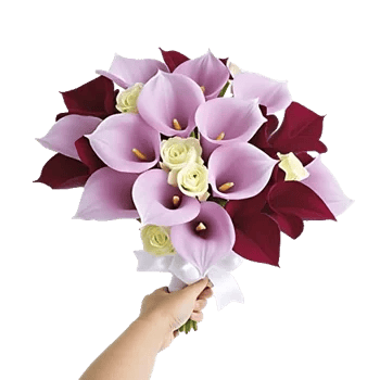 Elegant Calla Lilies