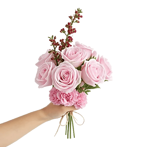 Pastel Pink Roses