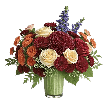Petal Radiance Bliss