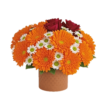 Petal Radiance Bliss