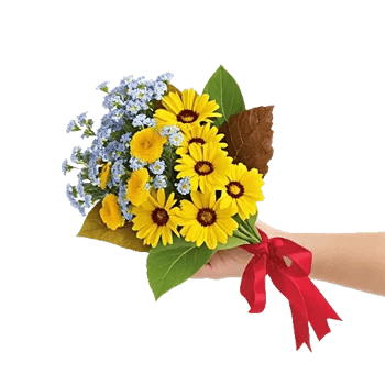 Blossom Petal Serenity