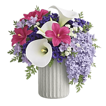 Ivory Blossom Radiance