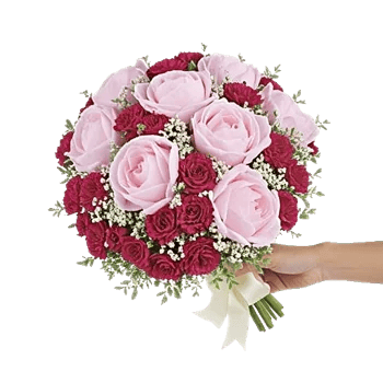 Peony Petal Harmony